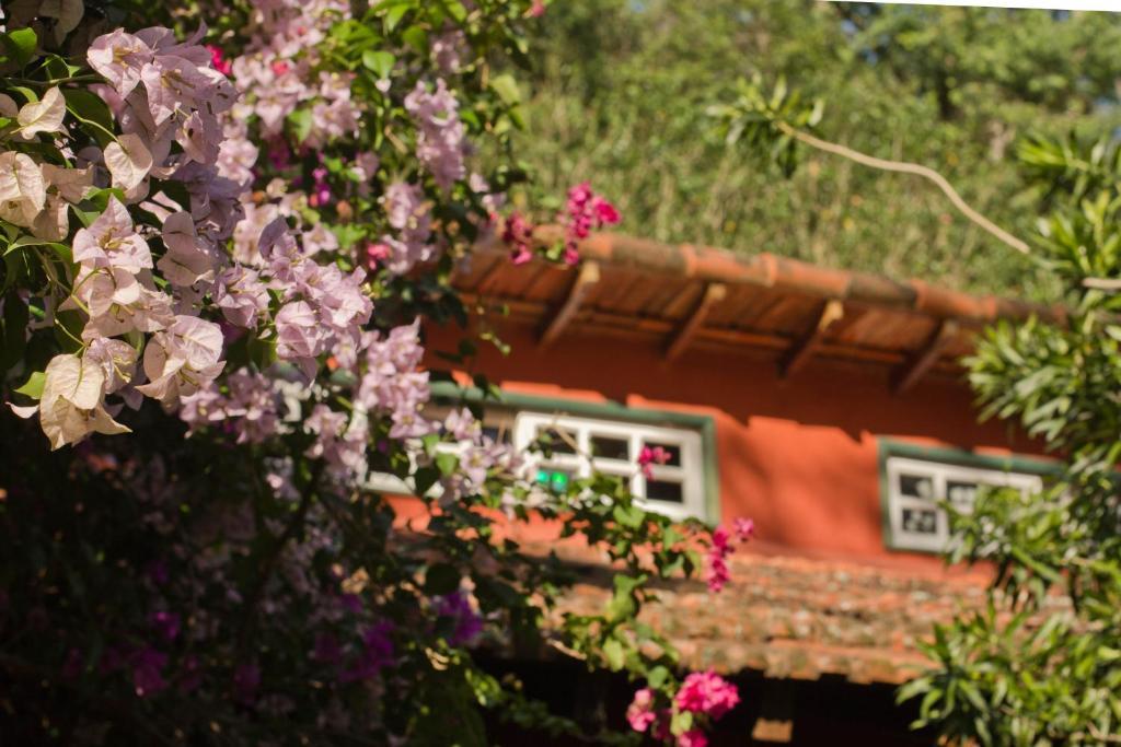Pousada Paraiso Posse  Dış mekan fotoğraf